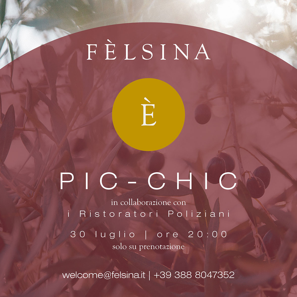 FELSINA-PIC-CHIC-30-LUGLIO-2020_BOX